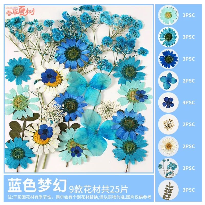 OVJ Craft Dried Flower 25-Piece Blues