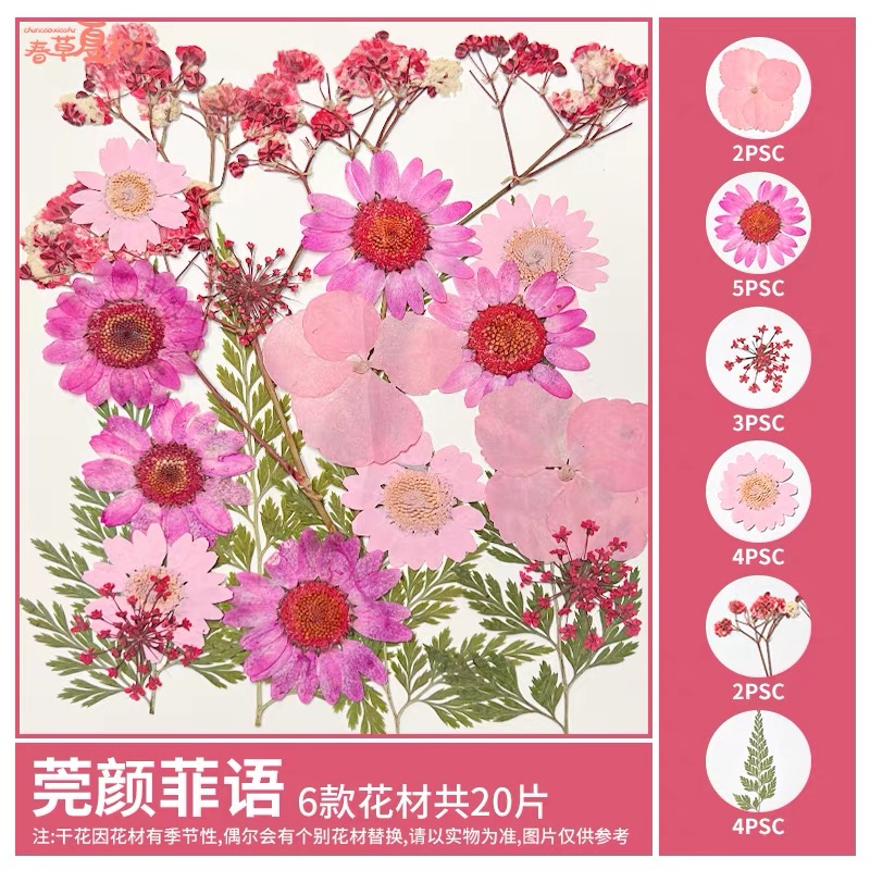 OVJ Craft Dried Flower 25-Piece Pinks