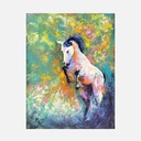 MONICA.LIM Wild Horses Collection No.5