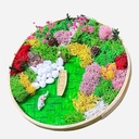 OVJ Bamboo Tray Nature Scene 22cm Kit - Rafting In A Garden