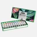 SCHMINCKE Akademie Gouache 20ml Set x 12