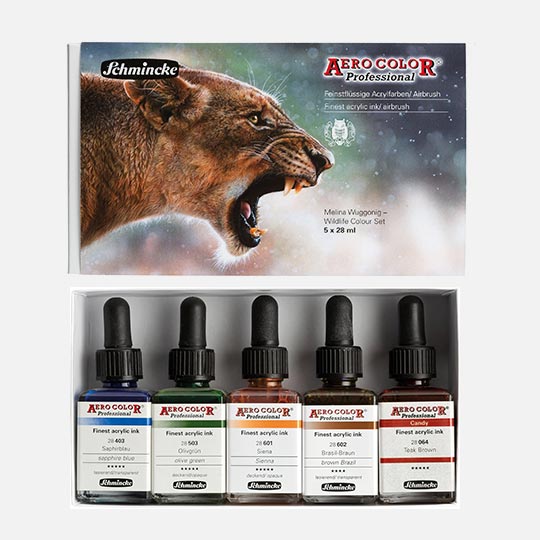 SCHMINCKE Aero Color Acrylic Ink 28ml Set x 5 By Melina Wuggonig
