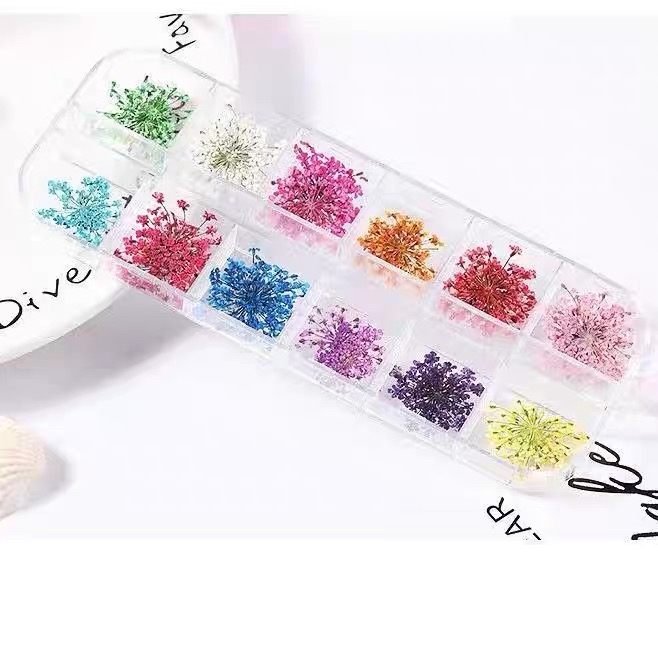 OVJ Pressed Dried Flower Baby Breath Set x 24