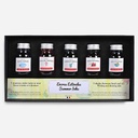 JACQUES HERBIN Fountain Pen Ink 10ml Summer Set x 5