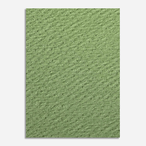 CLAIREFONTAINE Etival Color Dry Media Paper 160gsm 50cm x 65cm Apple Green