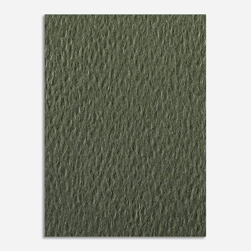 CLAIREFONTAINE Etival Color Dry Media Paper 160gsm 50cm x 65cm Sea Green