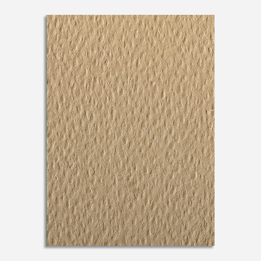 CLAIREFONTAINE Etival Color Dry Media Paper 160gsm 50cm x 65cm Camel