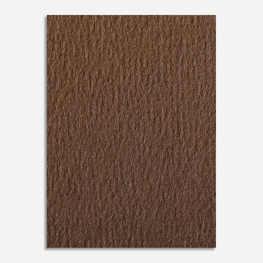 CLAIREFONTAINE Etival Color Dry Media Paper 160gsm 50cm x 65cm Brown