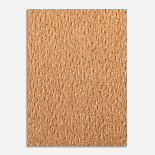 CLAIREFONTAINE Etival Color Dry Media Paper 160gsm A4 x 5 Salmon