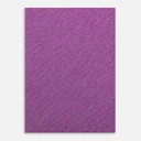 CLAIREFONTAINE Etival Color Dry Media Paper 160gsm A4 x 5 Violet