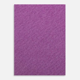 [CLAIREFONTAINE 90876] CLAIREFONTAINE Etival Color Dry Media Paper 160gsm A4 x 5 Violet