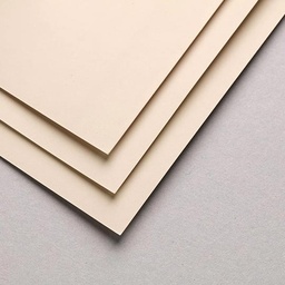 [CLAIREFONTAINE 696166] CLAIREFONTAINE Pastelmat 360gsm A3 x 5 Beige