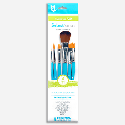 [PRINCETON 3750SET120] PRINCETON Select Value Brush Set 20 x 6