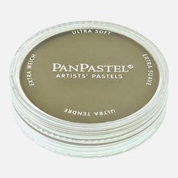 [PANPASTEL 8022201-1] PANPASTEL Artist Pastel Hansa Yellow Extra Dark