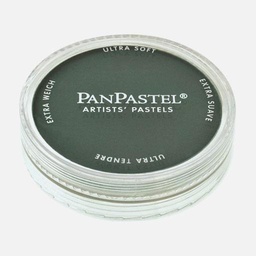 [PANPASTEL 8026201-1] PANPASTEL Artist Pastel Phthalo Green Extra Dark