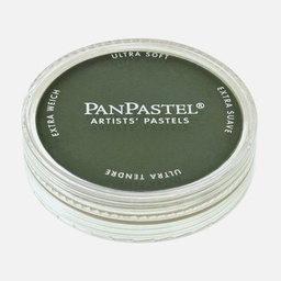 [PANPASTEL 8026401-1] PANPASTEL Artist Pastel Permanent Green Extra Dark