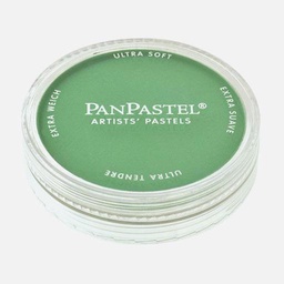 [PANPASTEL 8026405-1] PANPASTEL Artist Pastel Permanent Green
