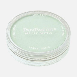 [PANPASTEL 8026408-1] PANPASTEL Artist Pastel Permanent Green Tint
