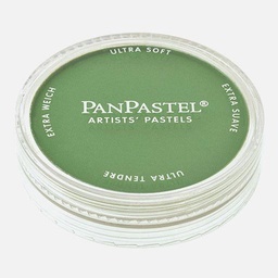 [PANPASTEL 8026605-1] PANPASTEL Artist Pastel Chromium Oxide Green