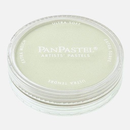 [PANPASTEL 8026608-1] PANPASTEL Artist Pastel Chromium Oxide Green Tint