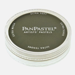 [PANPASTEL 8026801-1] PANPASTEL Artist Pastel Bright Yellow Green Extra Dark