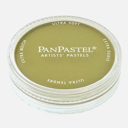 [PANPASTEL 8026803-1] PANPASTEL Artist Pastel Bright Yellow Green Shade