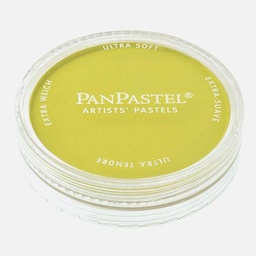 [PANPASTEL 8026805-1] PANPASTEL Artist Pastel Bright Yellow Green