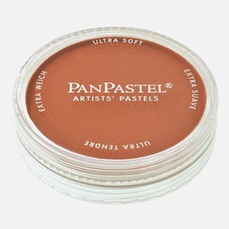 [PANPASTEL 8027405-1] PANPASTEL Artist Pastel Burnt Sienna