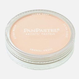 [PANPASTEL 8027408-1] PANPASTEL Artist Pastel Burnt Sienna Tint