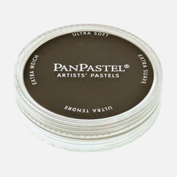 [PANPASTEL 8027801-1] PANPASTEL Artist Pastel Raw Umber Extra Dark