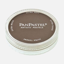 [PANPASTEL 8027803-1] PANPASTEL Artist Pastel Raw Umber Shade