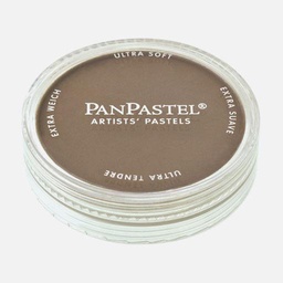 [PANPASTEL 8027805-1] PANPASTEL Artist Pastel Raw Umber