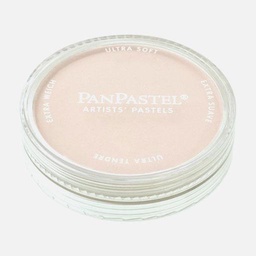 [PANPASTEL 8027808-1] PANPASTEL Artist Pastel Raw Umber Tint