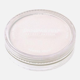 [PANPASTEL 8028408-1] PANPASTEL Artist Pastel Paynes Grey Tint 2