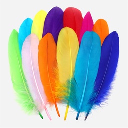 [OVJ 8888888806480] OVJ Hard Feather 19cm x 50