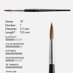 [TINTORETTO 37/1] TINTORETTO Series 37 Siberian Kolinsky Sable Round Brush 1