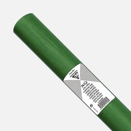 [CLAIREFONTAINE 394021] CLAIREFONTAINE Tissue Paper 18gsm 50cm x 75cm x 24 Meadow Green