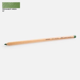 [FABER-CASTELL 112267] FABER-CASTELL Pitt Pastel Pencil 167 Permanent Green Olive