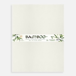 [CLAIREFONTAINE 975934] CLAIREFONTAINE Bamboo Mixed Media Paper 250gsm 75cm x 105cm x 5