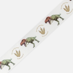 [OKINA MD4046] OKINA Dinosaur Washi Tape 30mm x 7m Tyrannosaurus