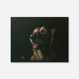 MONICA.LIM Golden Girl Collection