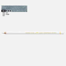 [CARAN D'ACHE 0666.005] CARAN D'ACHE Pablo Color Pencil Grey