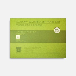[BAOHONG 6932525801418] BAOHONG Academy 100% Cotton Watercolor Paper Pad Cold Press 300gsm 15cm x 21cm x 20