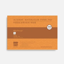 [BAOHONG 6932525801401] BAOHONG Academy 100% Cotton Watercolor Paper Pad Rough 300gsm 15cm x 21cm x 20