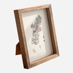 [OVJ 88888888300079] OVJ Light Wooden Frame A4 Dark Grain