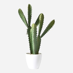 OVJ Artificial Potted Plant Cactus 60cm