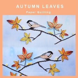 DISCOVER Paper Quilling By TASA