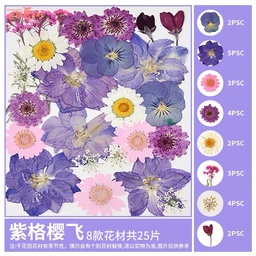 [OVJ 8888888838387] OVJ Craft Dried Flower 25-Piece Violets