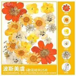 [OVJ 8888888838381] OVJ Craft Dried Flower Yellows