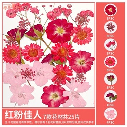 [OVJ 8888888838384] OVJ Craft Dried Flower Reds